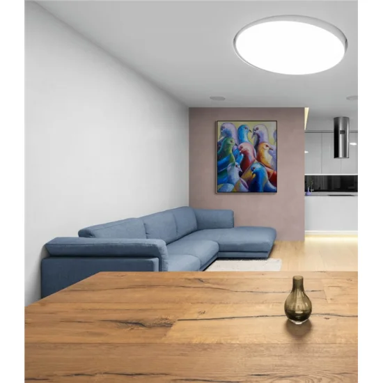 Güvercinlerin Sessiz Şarkısı Yağlı Boya Tablosu