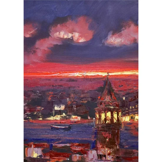 Birds Looking At Galata Oil Painting