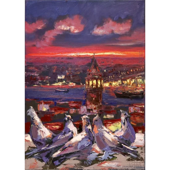 Birds Looking At Galata Oil Painting