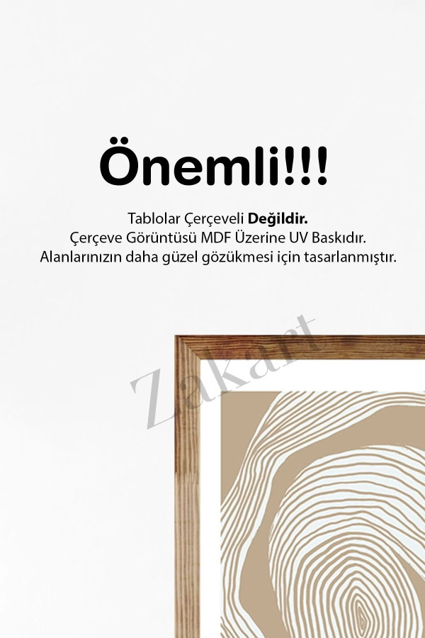 Soyut 3 Parça Çerçeve Görünümlü Mdf Tablo Seti