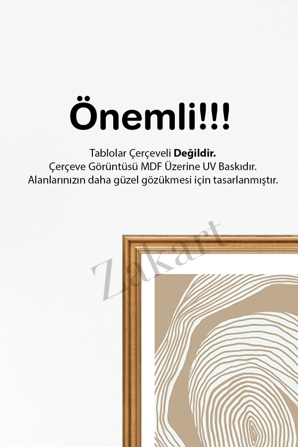 Soyut 3 Parça Çerçeve Görünümlü Mdf Tablo Seti