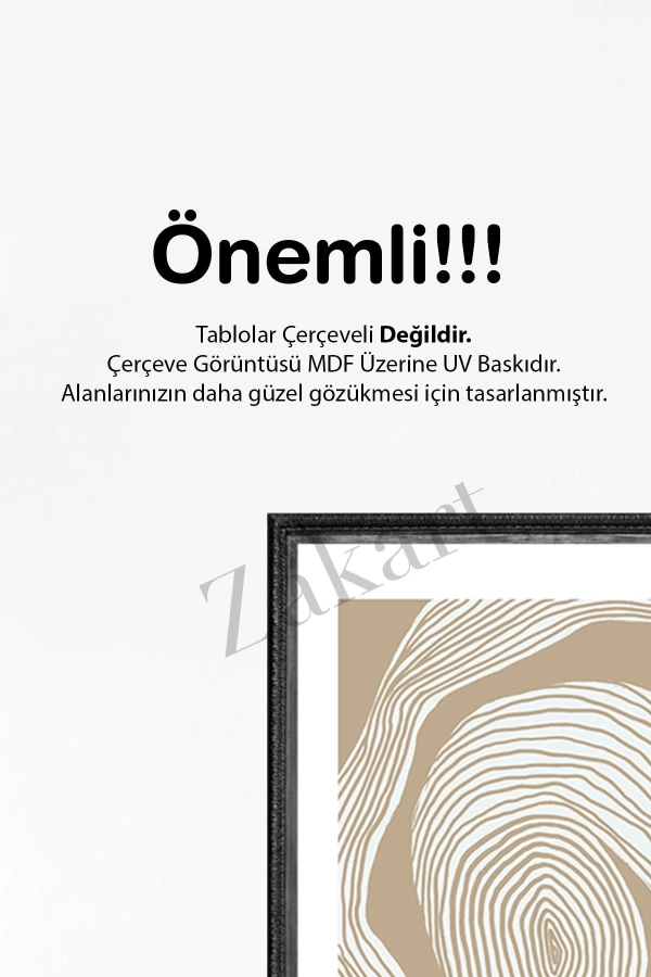 Soyut 3 Parça Çerçeve Görünümlü Mdf Tablo Seti