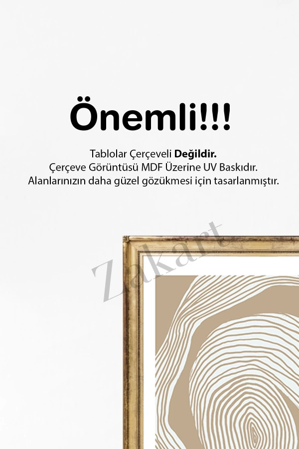 Soyut 3 Parça Çerçeve Görünümlü Mdf Tablo Seti