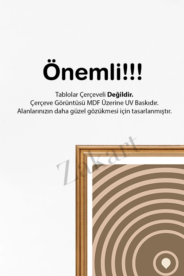 Soyut 3 Parça Çerçeve Görünümlü Mdf Tablo Seti