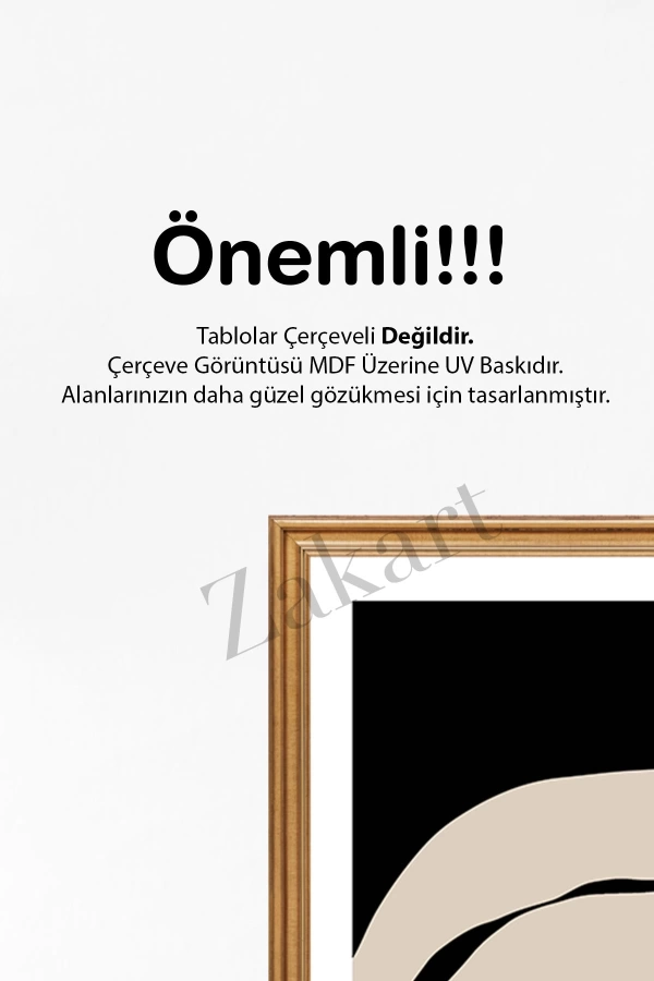 Soyut 3 Parça Çerçeve Görünümlü Mdf Tablo Seti