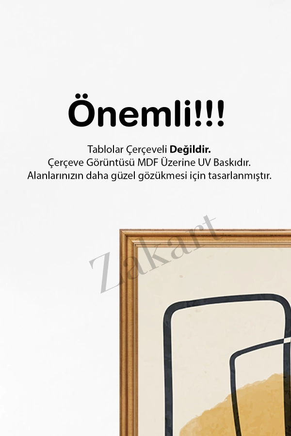 Soyut 3 Parça Çerçeve Görünümlü Mdf Tablo Seti