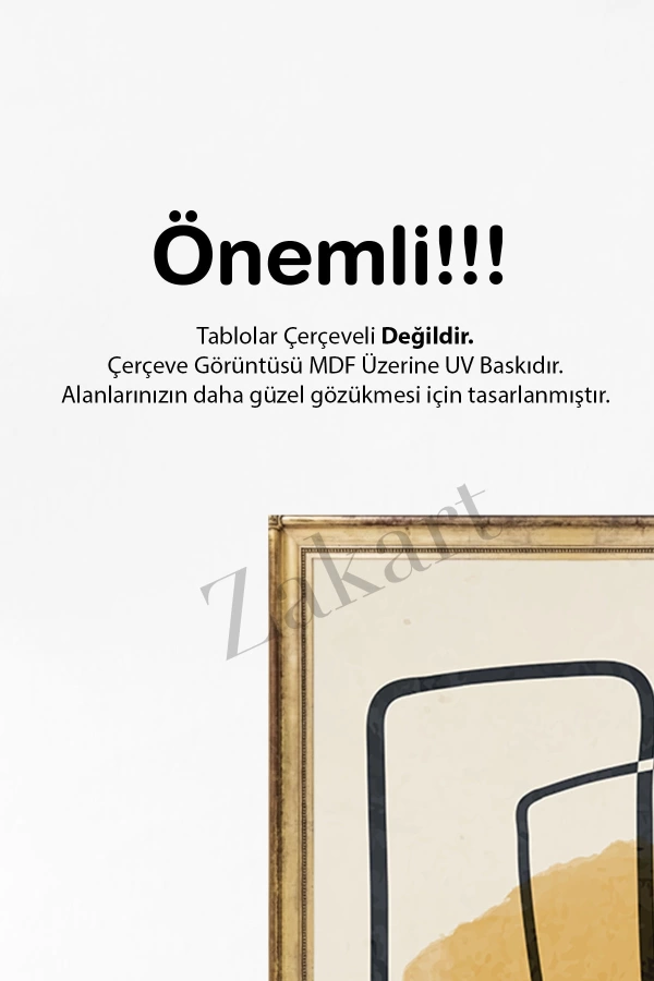 Soyut 3 Parça Çerçeve Görünümlü Mdf Tablo Seti