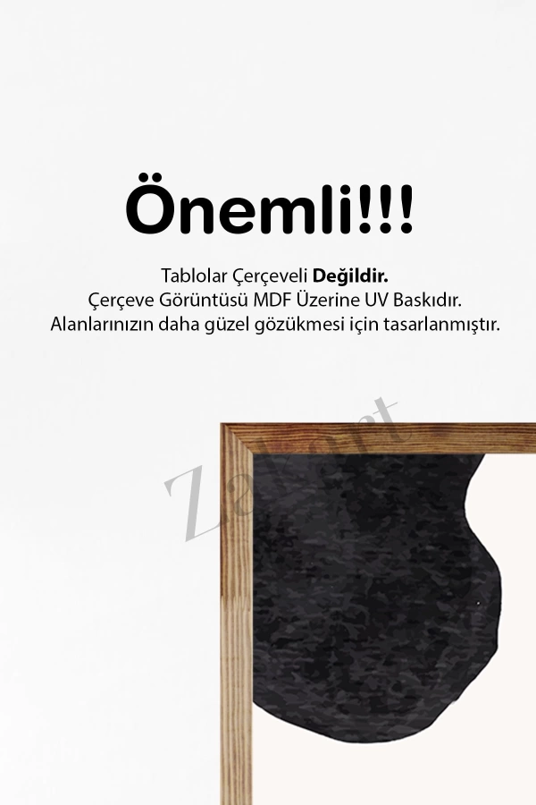 Soyut 3 Parça Çerçeve Görünümlü Mdf Tablo Seti