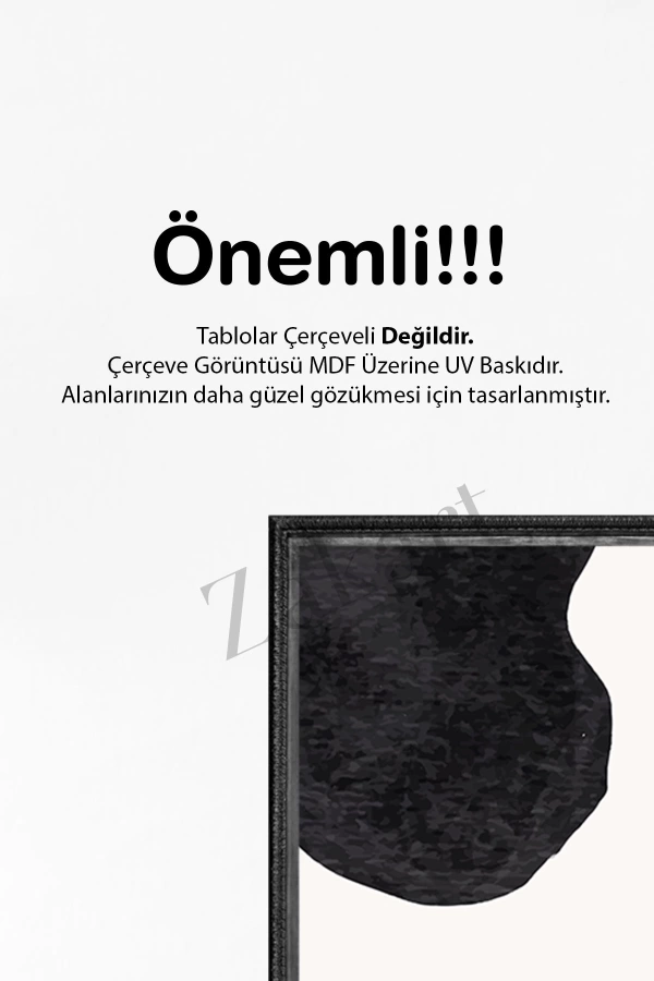 Soyut 3 Parça Çerçeve Görünümlü Mdf Tablo Seti