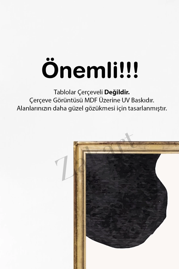 Soyut 3 Parça Çerçeve Görünümlü Mdf Tablo Seti