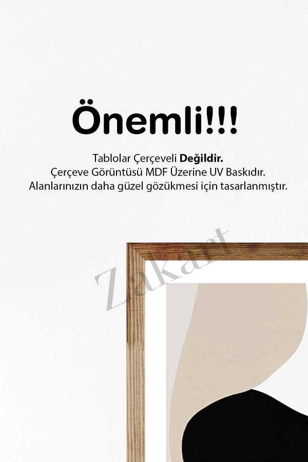 Soyut 3 Parça Çerçeve Görünümlü Mdf Tablo Seti