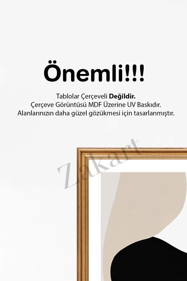 Soyut 3 Parça Çerçeve Görünümlü Mdf Tablo Seti