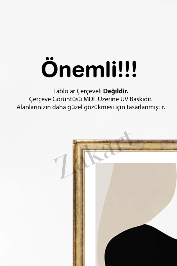 Soyut 3 Parça Çerçeve Görünümlü Mdf Tablo Seti