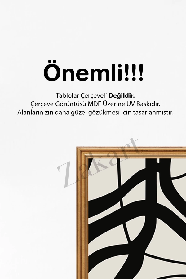 Soyut 3 Parça Çerçeve Görünümlü Mdf Tablo Seti