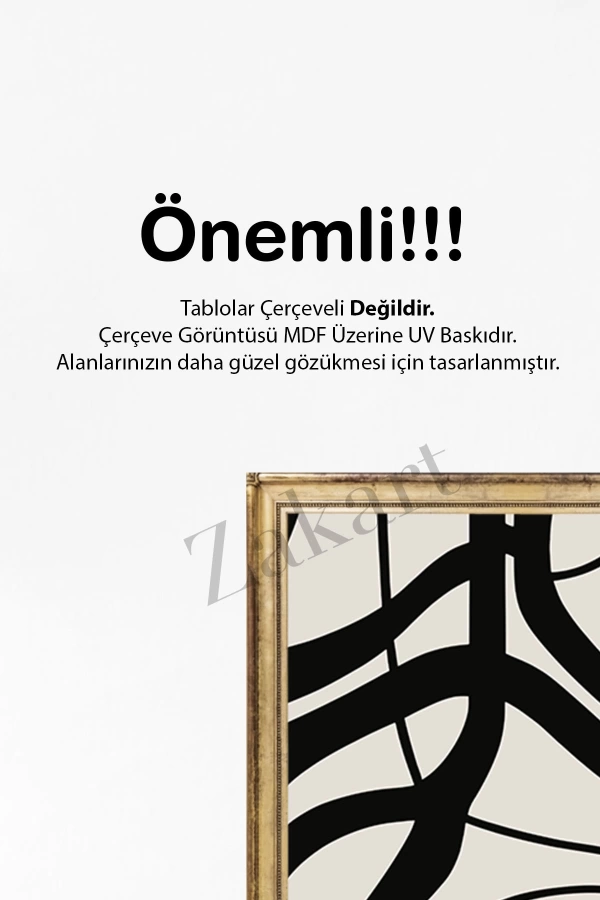 Soyut 3 Parça Çerçeve Görünümlü Mdf Tablo Seti