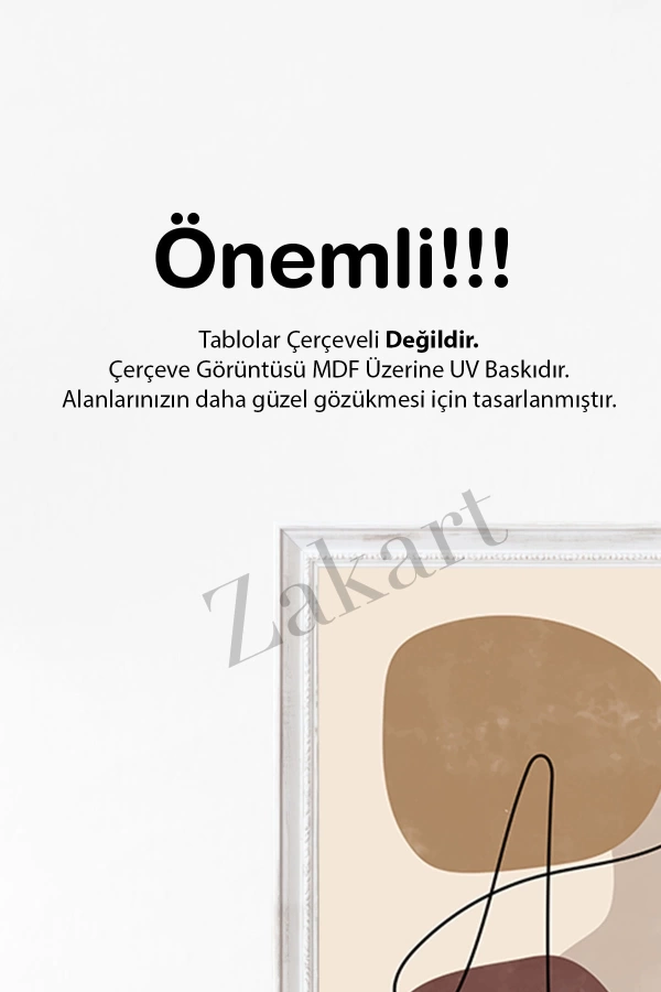 Soyut 3 Parça Çerçeve Görünümlü Mdf Tablo Seti