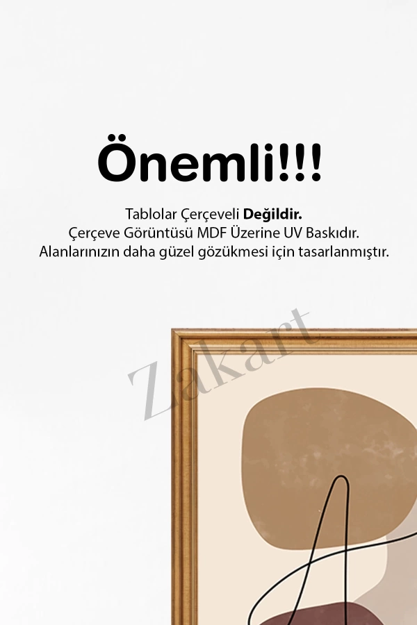 Soyut 3 Parça Çerçeve Görünümlü Mdf Tablo Seti