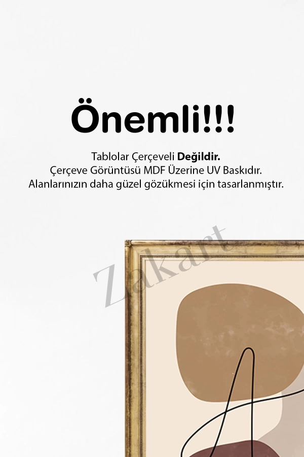 Soyut 3 Parça Çerçeve Görünümlü Mdf Tablo Seti