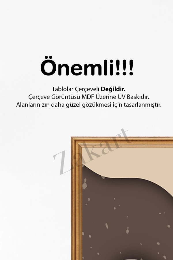 Soyut 3 Parça Çerçeve Görünümlü Mdf Tablo Seti