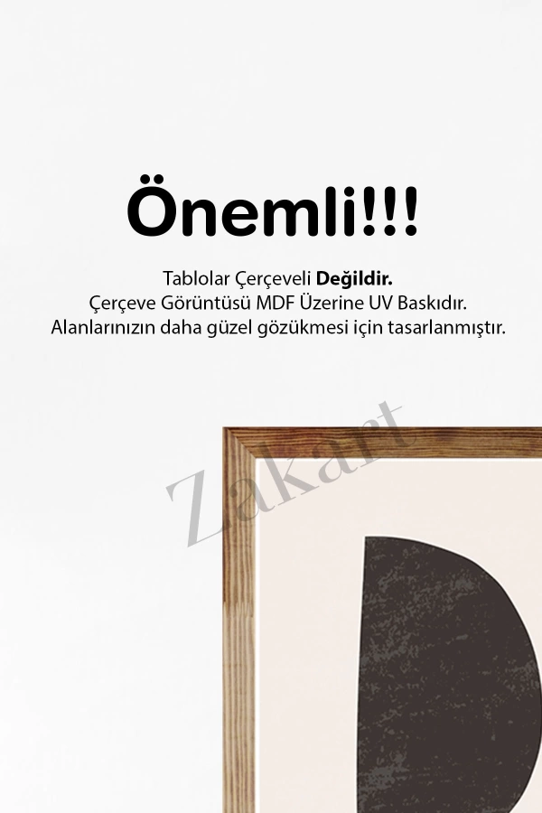 Soyut 3 Parça Çerçeve Görünümlü Mdf Tablo Seti