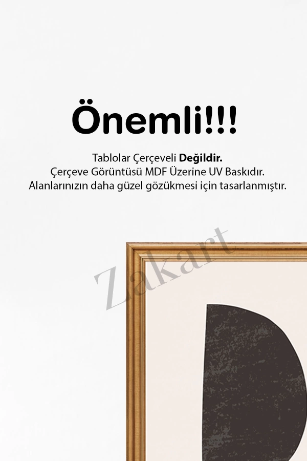 Soyut 3 Parça Çerçeve Görünümlü Mdf Tablo Seti