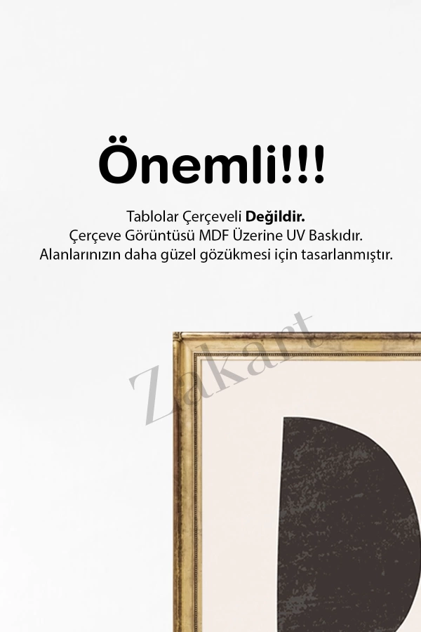 Soyut 3 Parça Çerçeve Görünümlü Mdf Tablo Seti