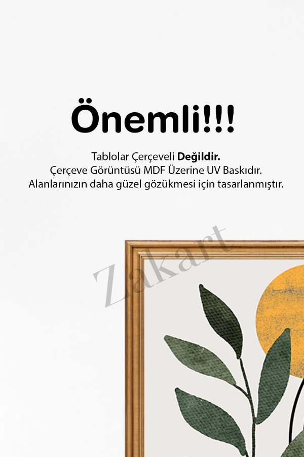 Soyut 3 Parça Çerçeve Görünümlü Mdf Tablo Seti