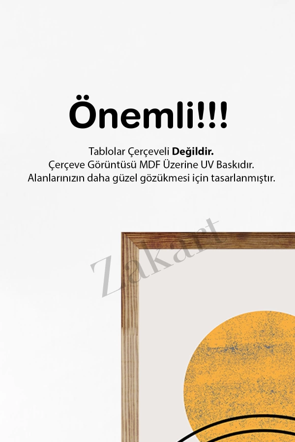 Soyut 3 Parça Çerçeve Görünümlü Mdf Tablo Seti