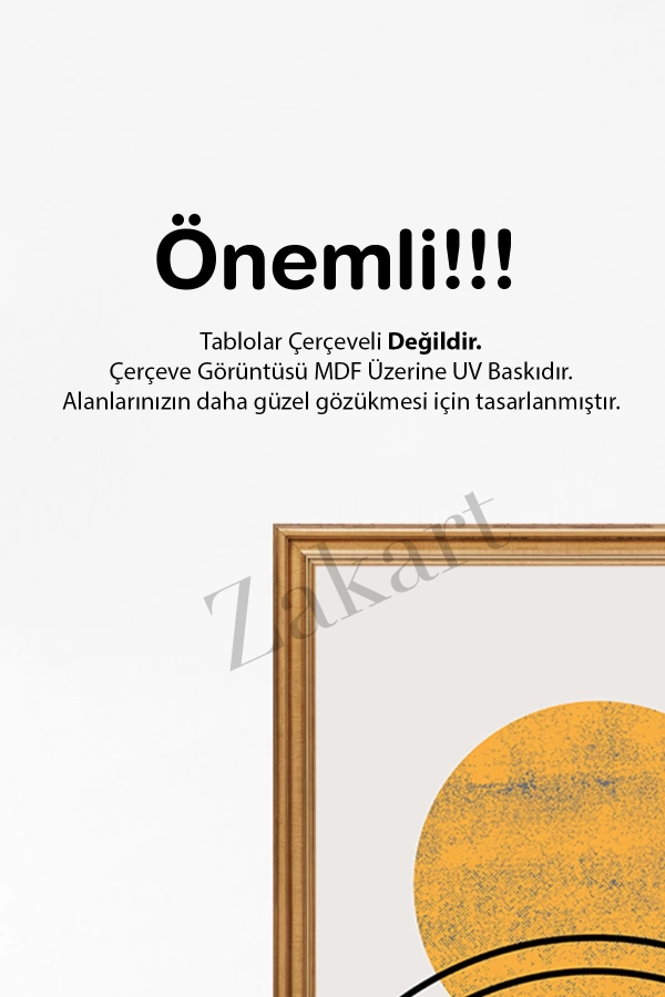 Soyut 3 Parça Çerçeve Görünümlü Mdf Tablo Seti