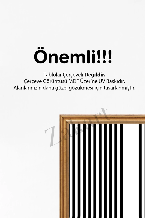 Soyut 3 Parça Çerçeve Görünümlü Mdf Tablo Seti