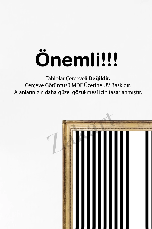 Soyut 3 Parça Çerçeve Görünümlü Mdf Tablo Seti