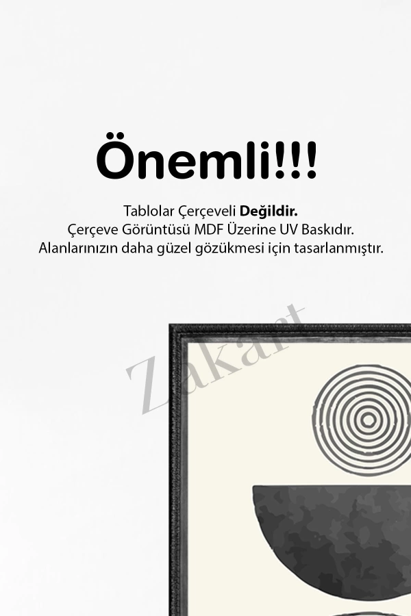 Soyut 3 Parça Çerçeve Görünümlü Mdf Tablo Seti