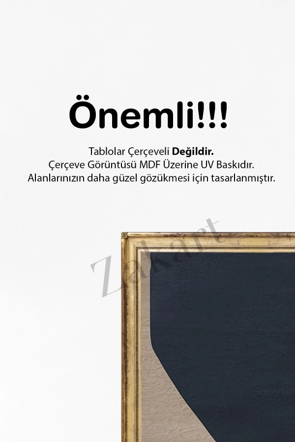 Soyut 3 Parça Çerçeve Görünümlü Mdf Tablo Seti