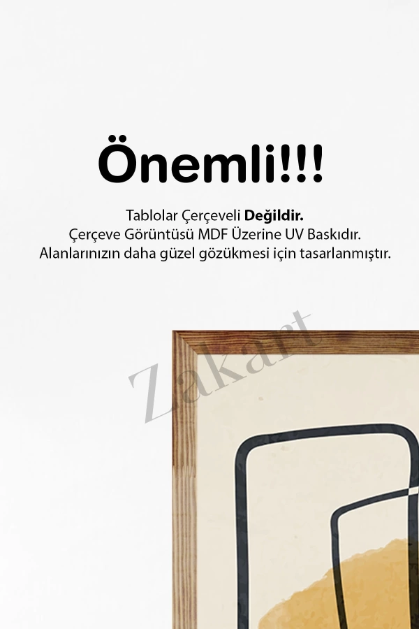 Soyut 3 Parça Çerçeve Görünümlü Mdf Tablo Seti