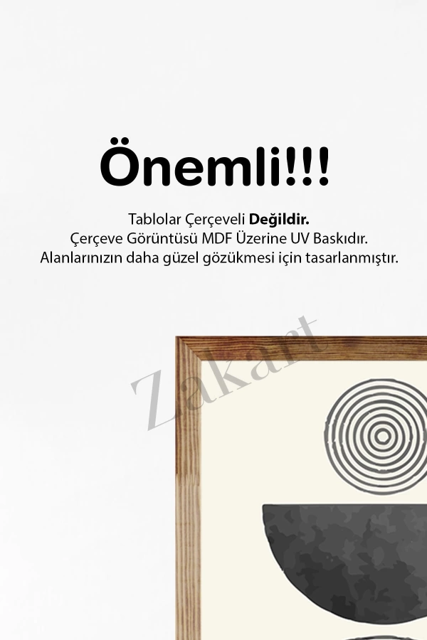 Soyut 3 Parça Çerçeve Görünümlü Mdf Tablo Seti