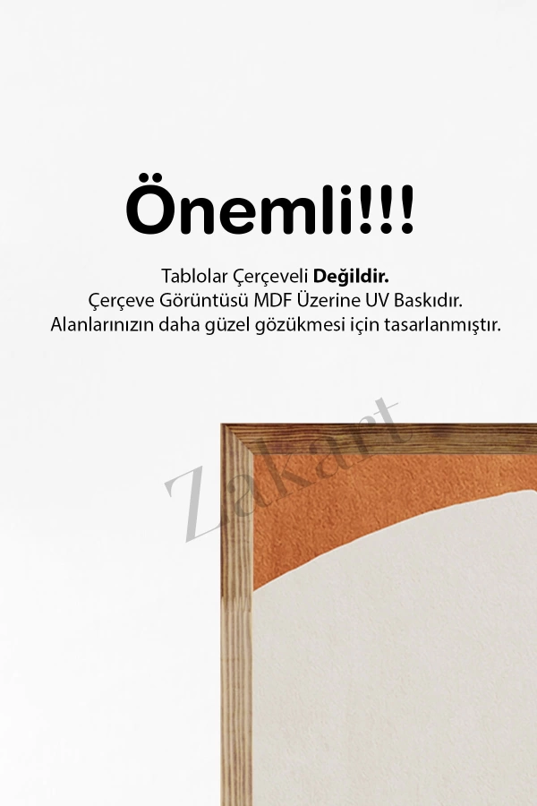 Soyut 3 Parça Çerçeve Görünümlü Mdf Tablo Seti