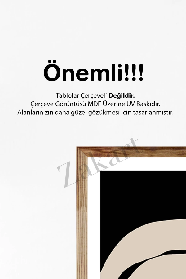 Soyut 3 Parça Çerçeve Görünümlü Mdf Tablo Seti