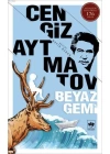 Beyaz Gemi