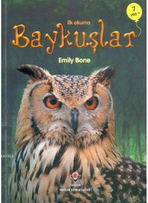 Baykuşlar