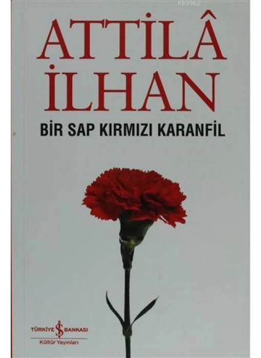 Bir Sap Kırmızı Karanfil Cumhuriyet Söyleşileri (Eylül 96 - Mart 97)