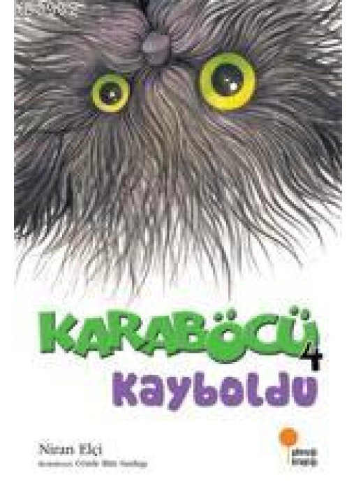 Karaböcü 4 - Kayboldu