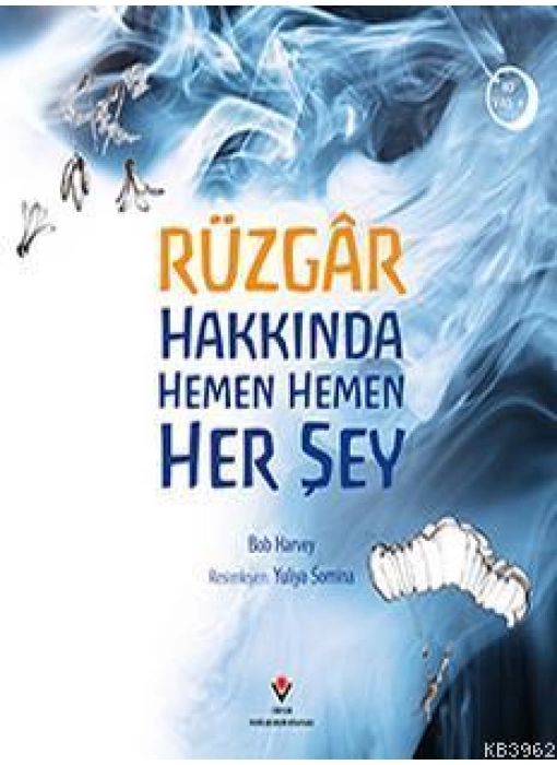 Rüzgâr Hakkında Hemen Hemen Her Şey