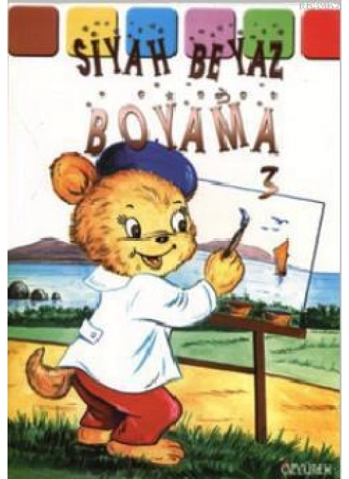 Siyah Beyaz Boyama 3