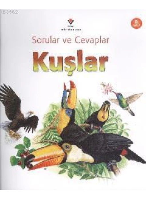 Sorular ve Cevaplar - Kuşlar