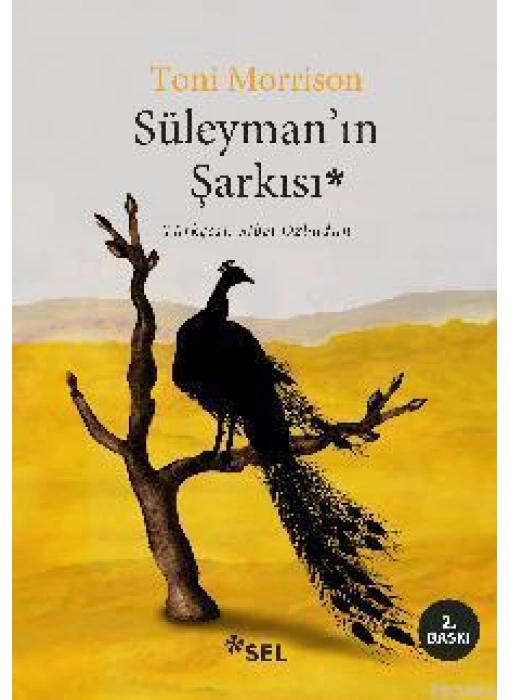 Süleymanın Şarkısı