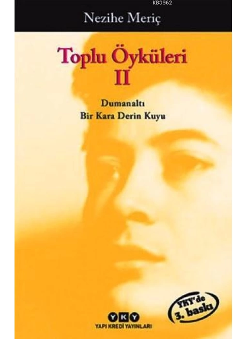 Toplu Öyküleri 2; Bütün Yapıtlarına Doğru