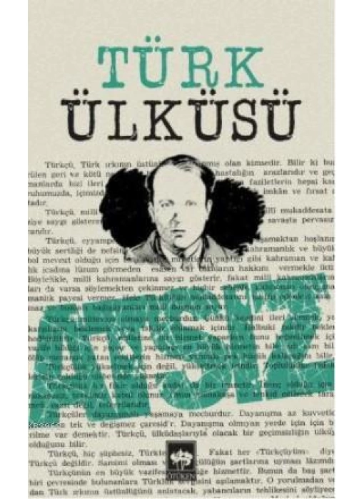 Türk Ülküsü