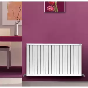 Ayen Lale Alüminyum Radyatör
