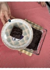 Şekersiz ve Glutensiz Brownie