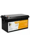 SD Energy 24v 300Ah Plus EVE, JK Bms 6000DOD Bluetooth Lifepo4 Lityum Akü